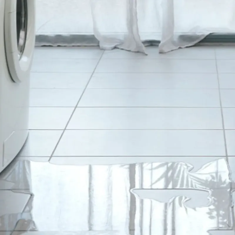 Appliance Leak Cleanup in Nottoway County, VA