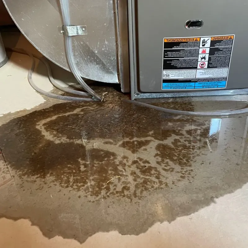 Pipe Burst and Leak Restoration in Nottoway County, VA