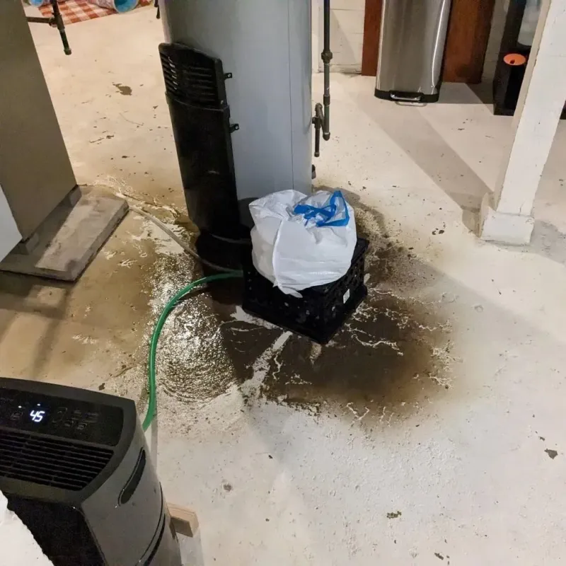 Sewage Backup Cleanup Service in Nottoway County, VA